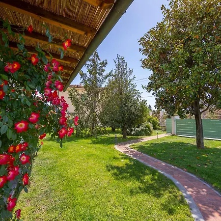 Clara Few Km From The Sea - Happy Villa Pietrasanta